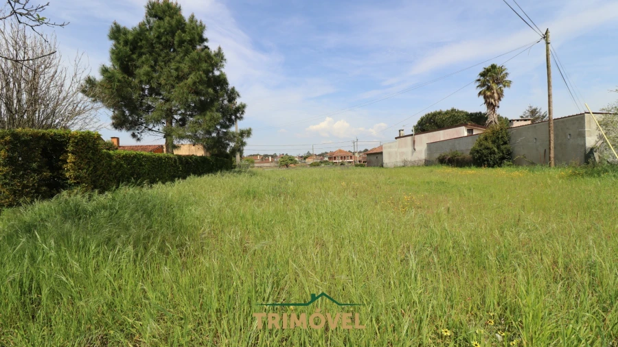 Moradia T3 para Venda em Beduído e Veiros Foto 18