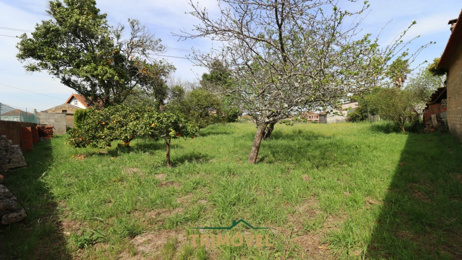 Moradia T3 para Venda em Beduído e Veiros Foto 19