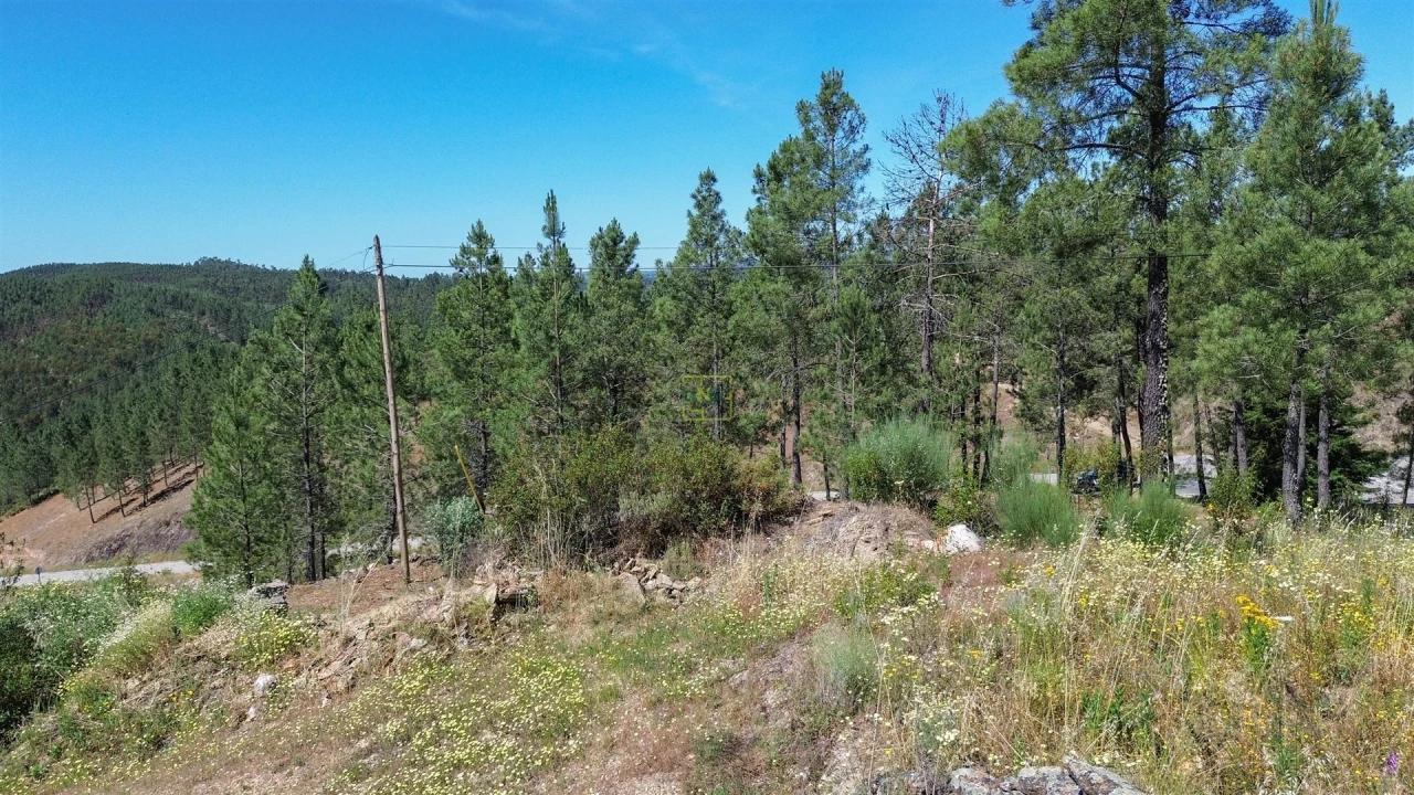 Quinta T0 para Venda em Fratel Foto 31