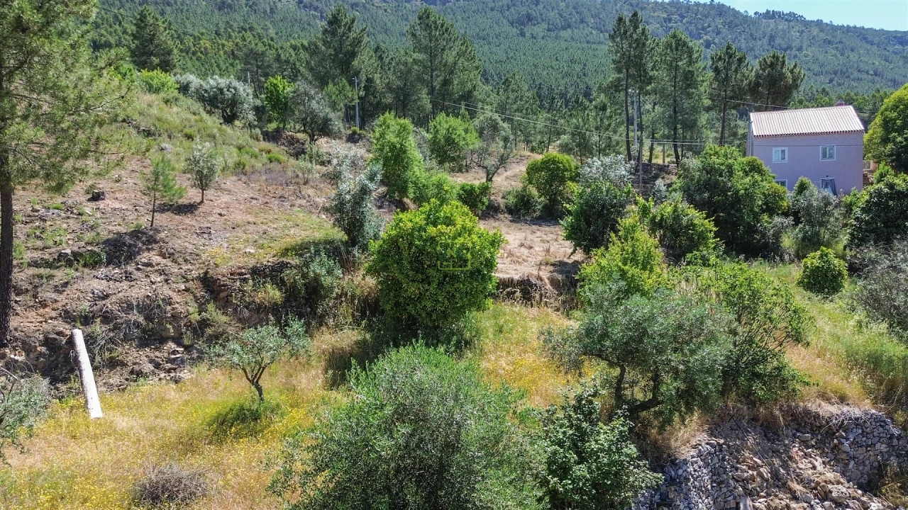 Quinta T0 para Venda em Fratel Foto 23