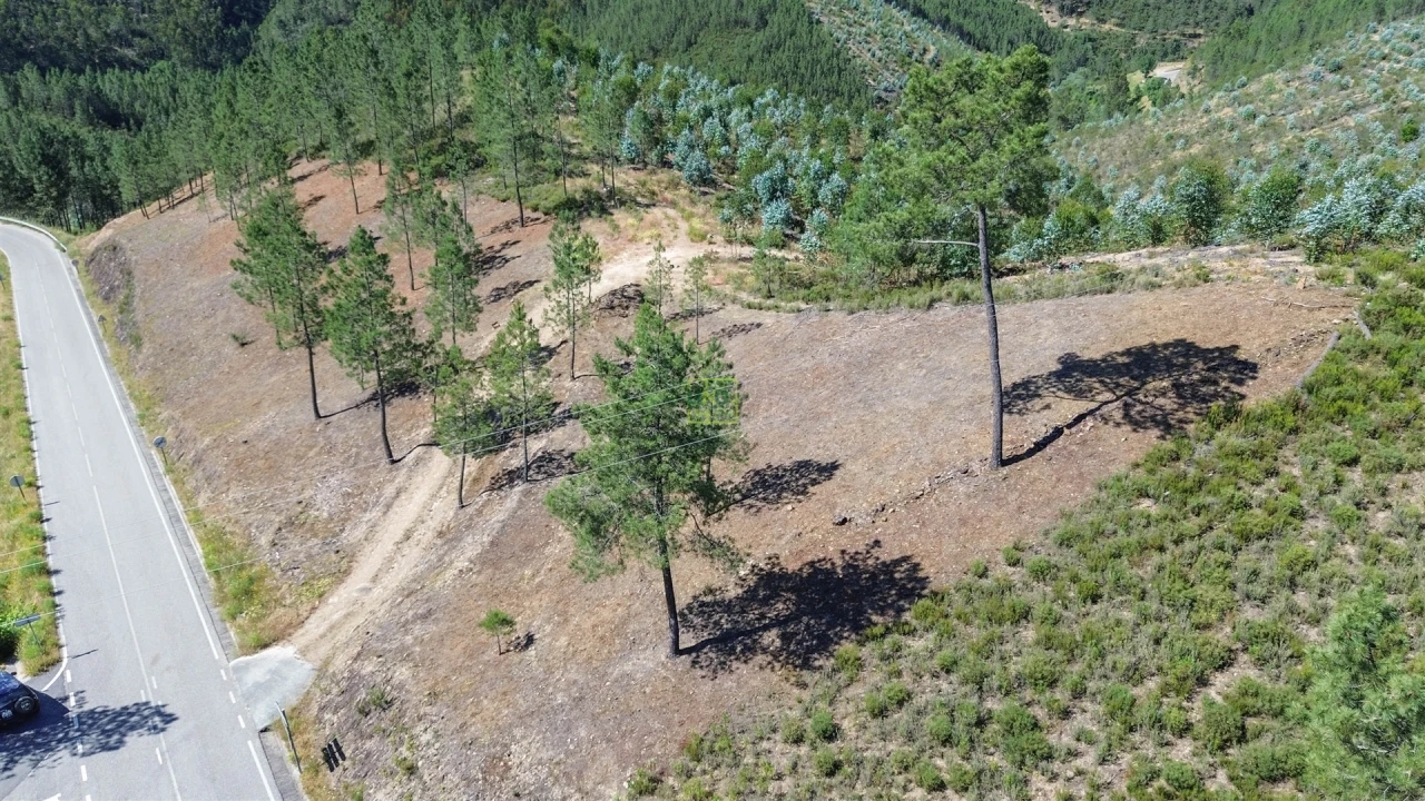 Quinta T0 para Venda em Fratel Foto 13