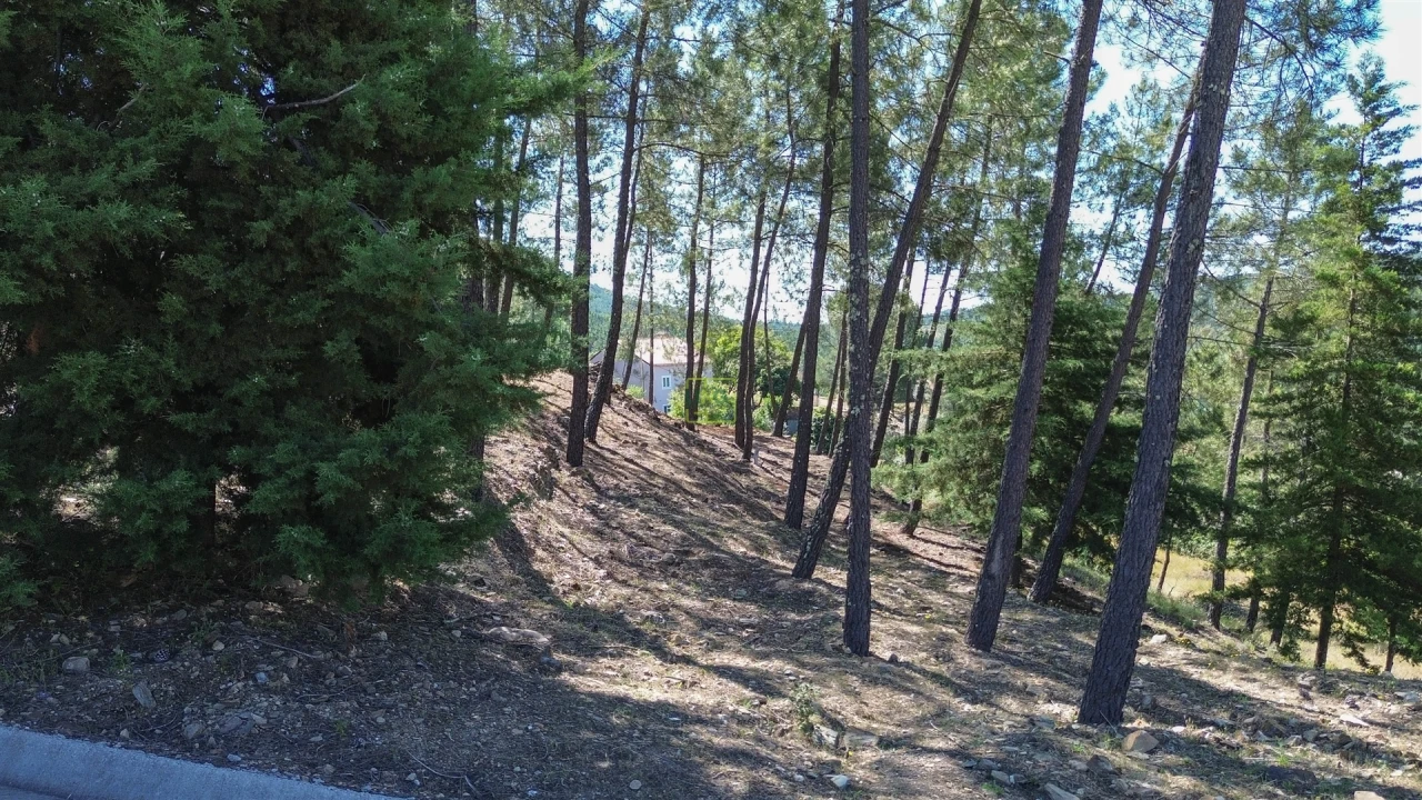 Quinta T0 para Venda em Fratel Foto 28