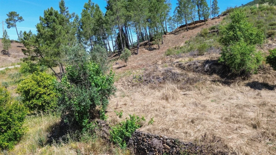 Quinta T0 para Venda em Fratel Foto 32