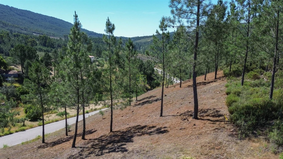 Quinta T0 para Venda em Fratel Foto 14