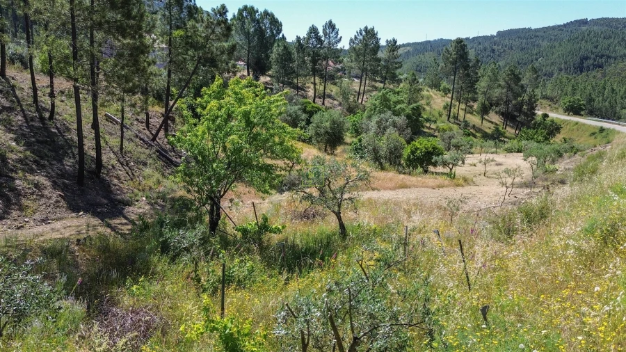 Quinta T0 para Venda em Fratel Foto 19