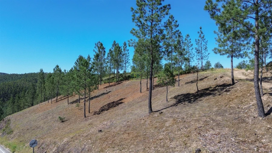 Quinta T0 para Venda em Fratel Foto 17