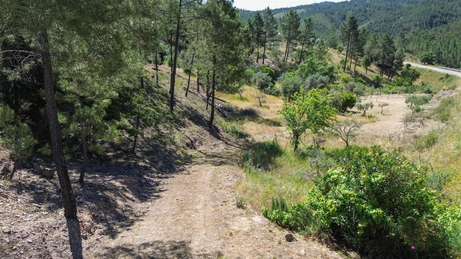 Quinta T0 para Venda em Fratel Foto 35