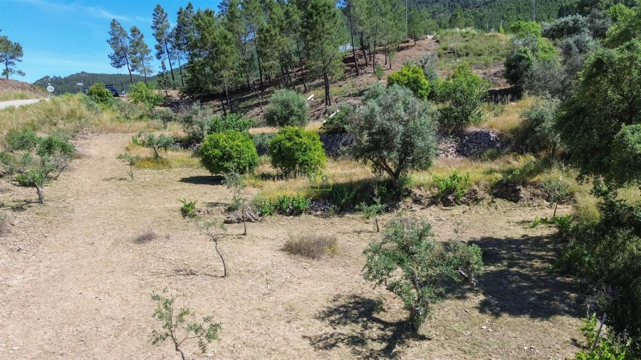 Quinta T0 para Venda em Fratel Foto 21