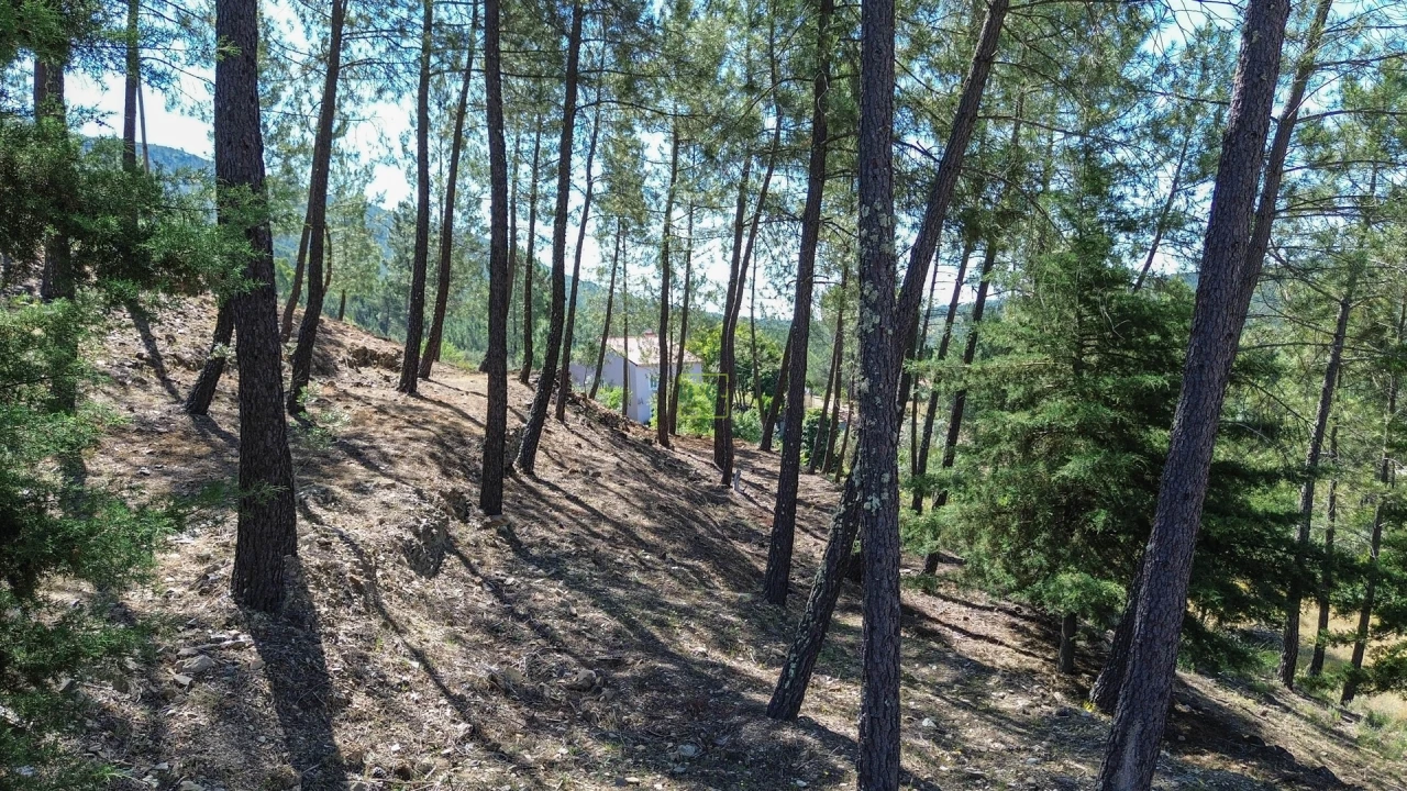 Quinta T0 para Venda em Fratel Foto 29