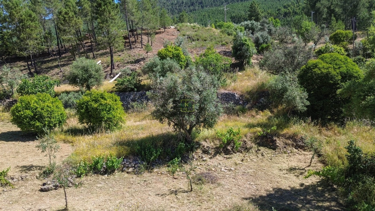 Quinta T0 para Venda em Fratel Foto 22