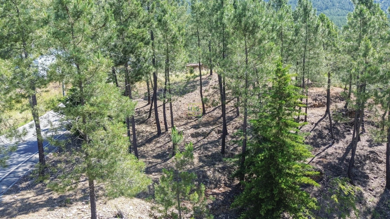 Quinta T0 para Venda em Fratel Foto 26