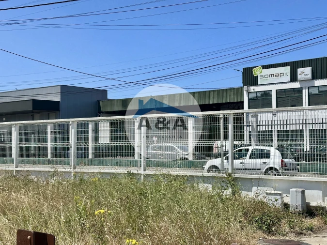 Terreno para Arrendamento em Regueira de Pontes Foto 4