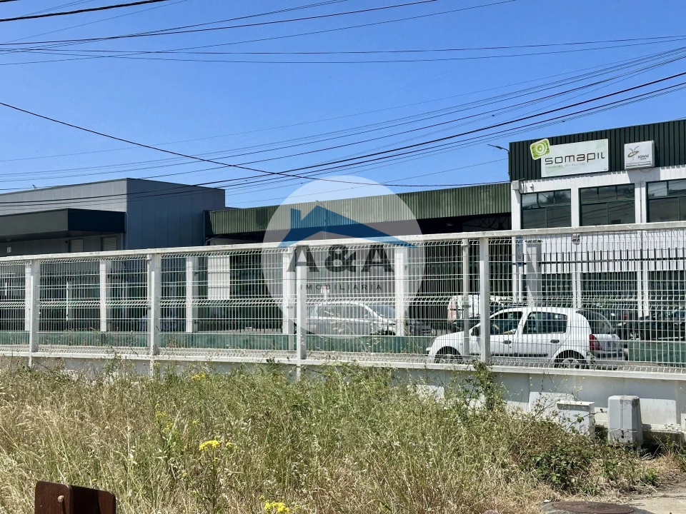 Terreno para Arrendamento em Regueira de Pontes Foto 4