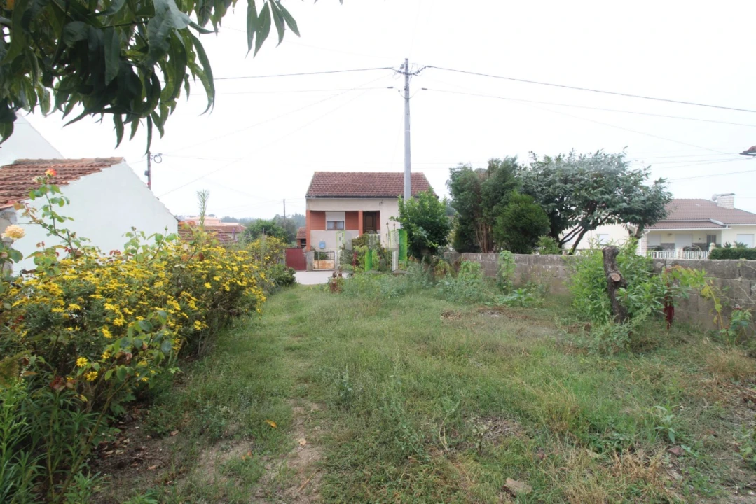 Terreno Agricola ou Rústico para Venda em Casal Comba Foto 3