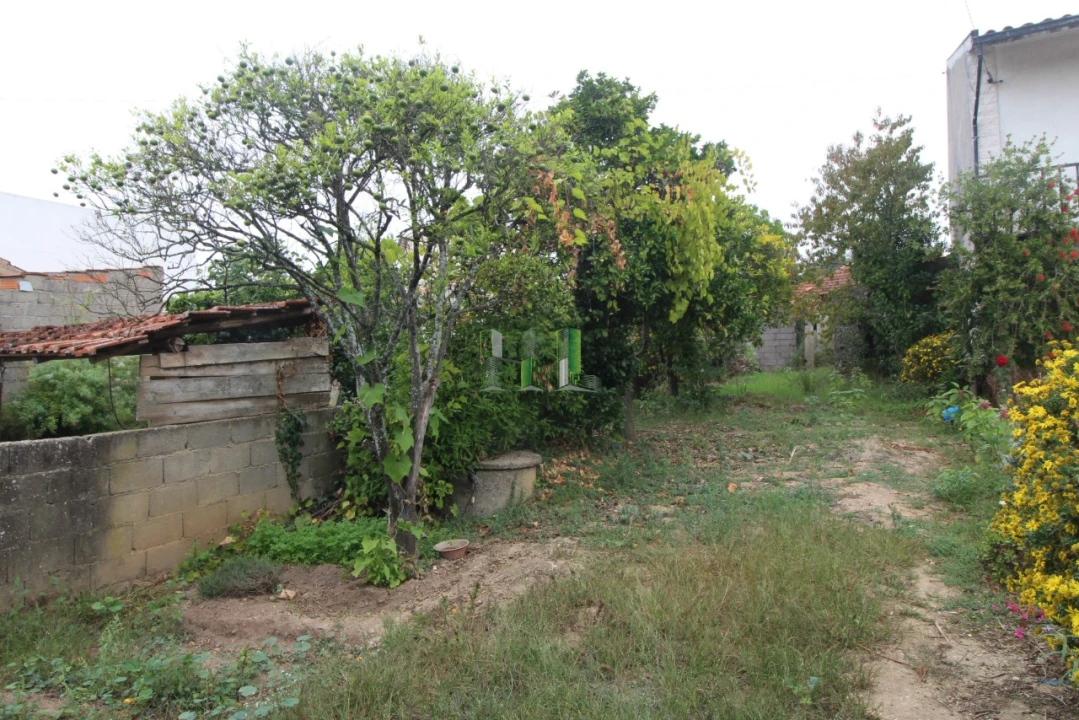 Terreno Agricola ou Rústico para Venda em Casal Comba Foto 5