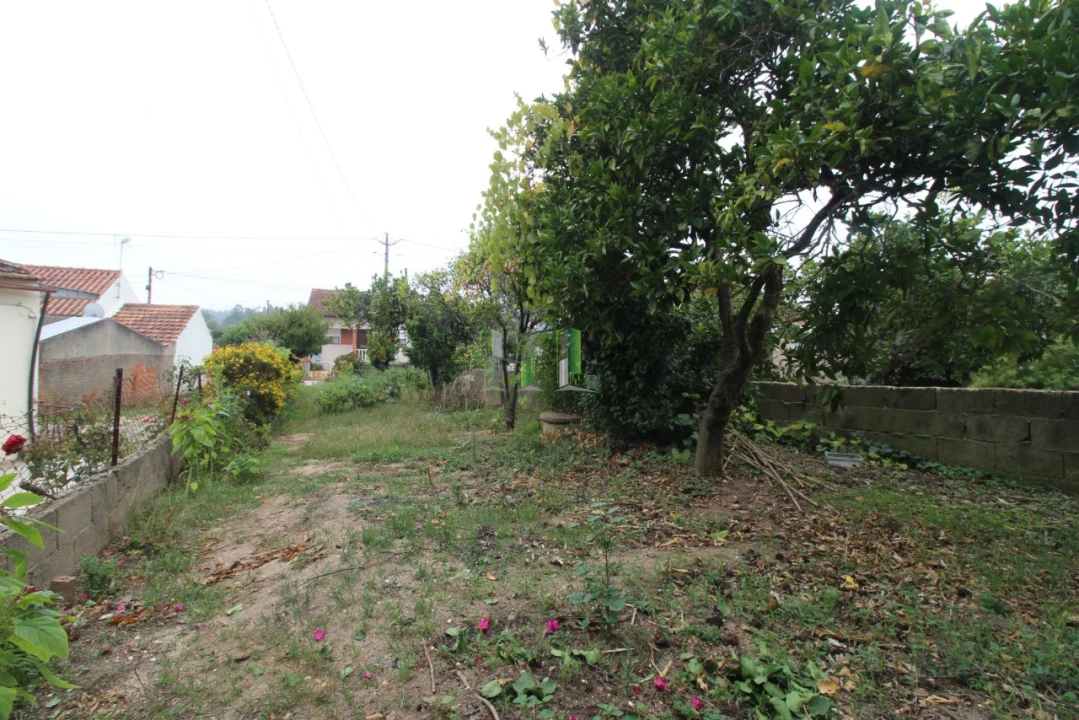 Terreno Agricola ou Rústico para Venda em Casal Comba Foto 6