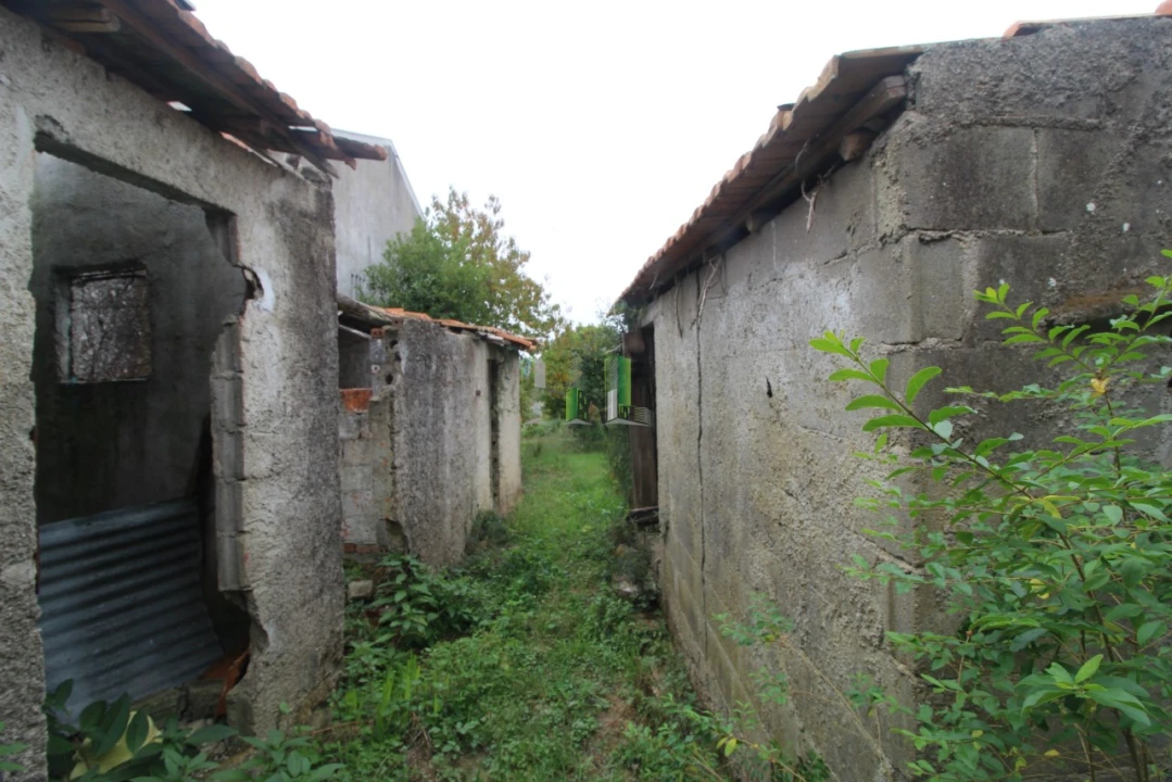 Terreno Agricola ou Rústico para Venda em Casal Comba Foto 8