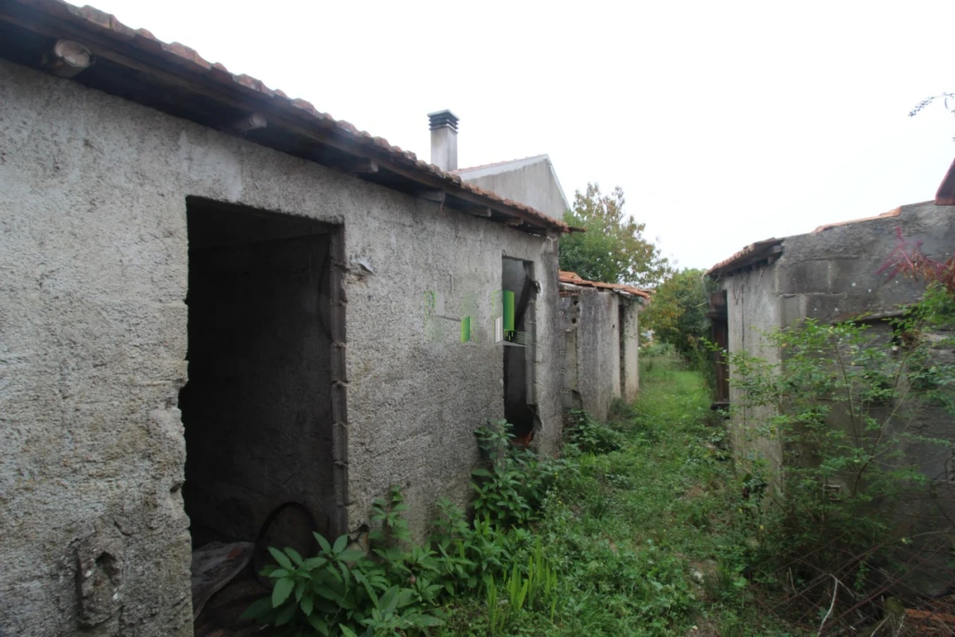 Terreno Agricola ou Rústico para Venda em Casal Comba Foto 9