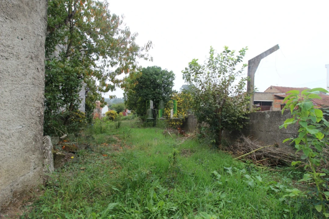 Terreno Agricola ou Rústico para Venda em Casal Comba Foto 11