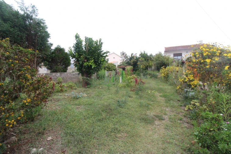 Terreno Agricola ou Rústico para Venda em Casal Comba Foto 4