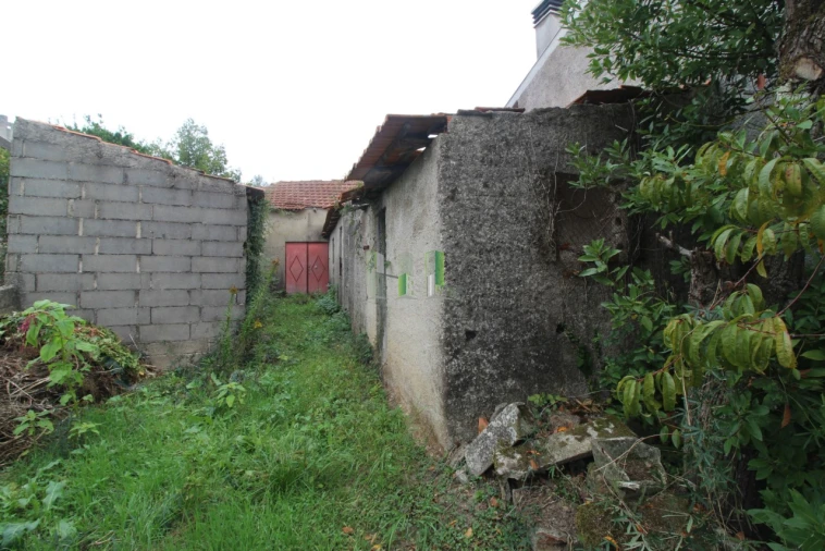 Terreno Agricola ou Rústico para Venda em Casal Comba Foto 7