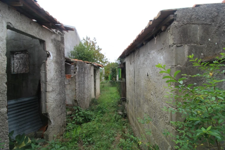 Terreno Agricola ou Rústico para Venda em Casal Comba Foto 8