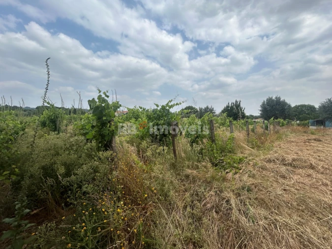 Terreno para Venda em São Pedro de Tomar Foto 8