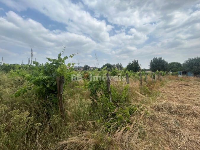 Terreno para Venda em São Pedro de Tomar Foto 7