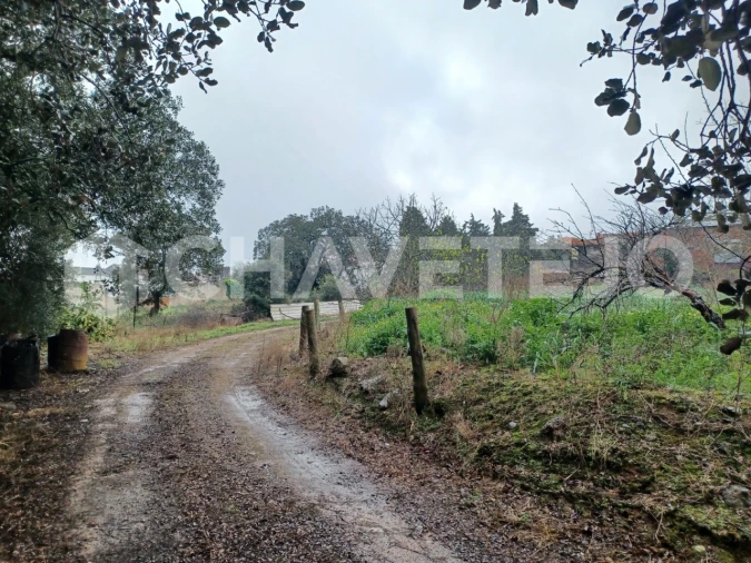 Prédio para Venda em Paialvo Foto 37