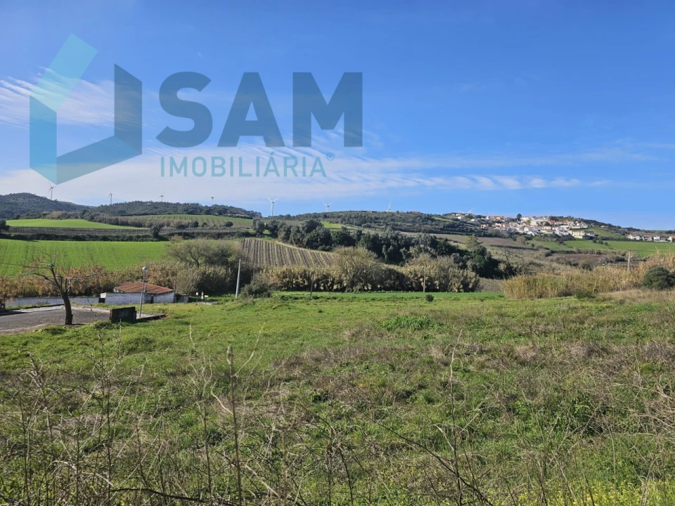 Terreno para Venda em Dois Portos e Runa Foto 15