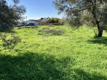Terreno para Venda em Conceição e Estoi