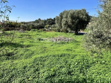 Terreno para Venda em Conceição e Estoi