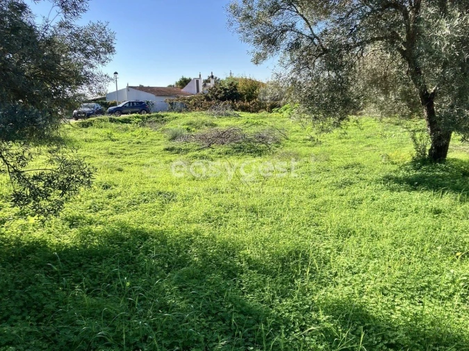 Terreno para Venda em Conceição e Estoi Foto 2