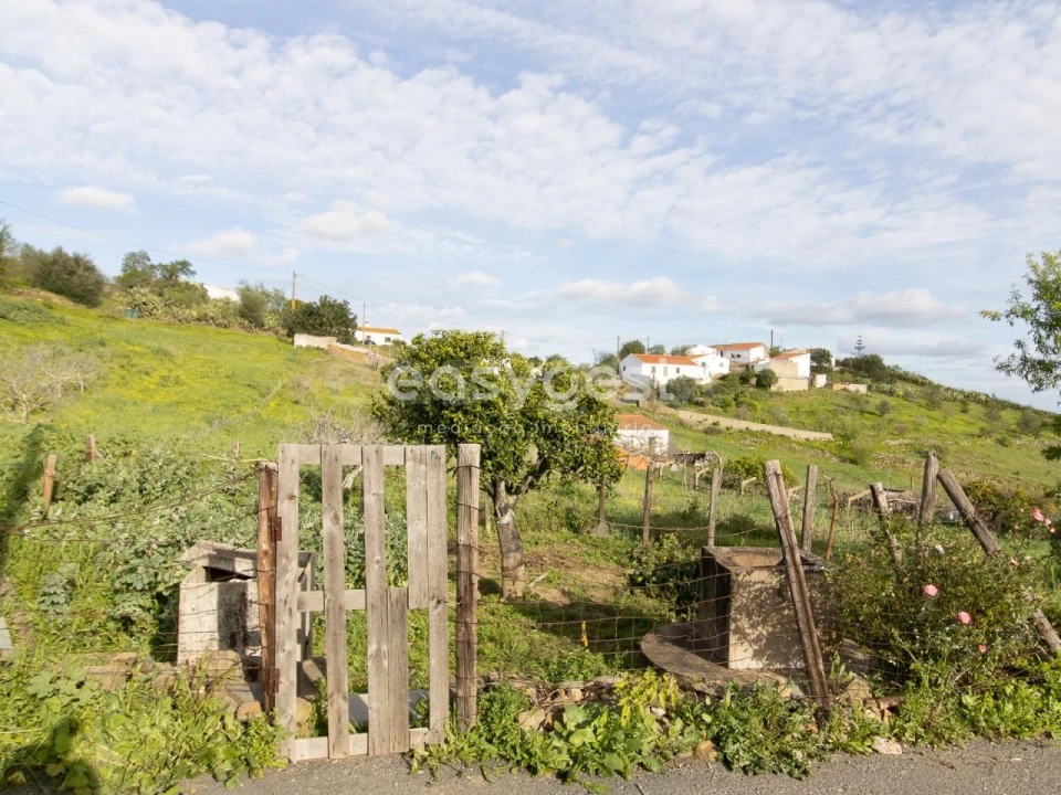 Moradia T1 para Venda em Martim Longo Foto 15