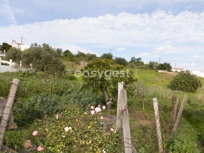 Moradia T1 para Venda em Martim Longo Foto 14