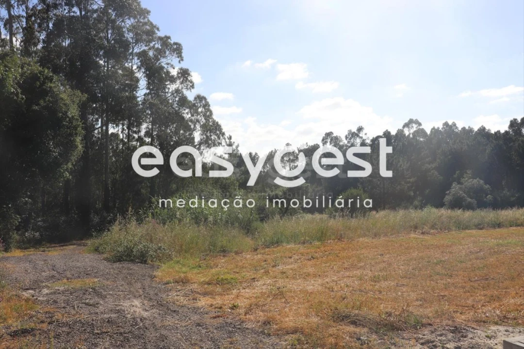 Terreno para Venda em Monte Redondo e Carreira Foto 2