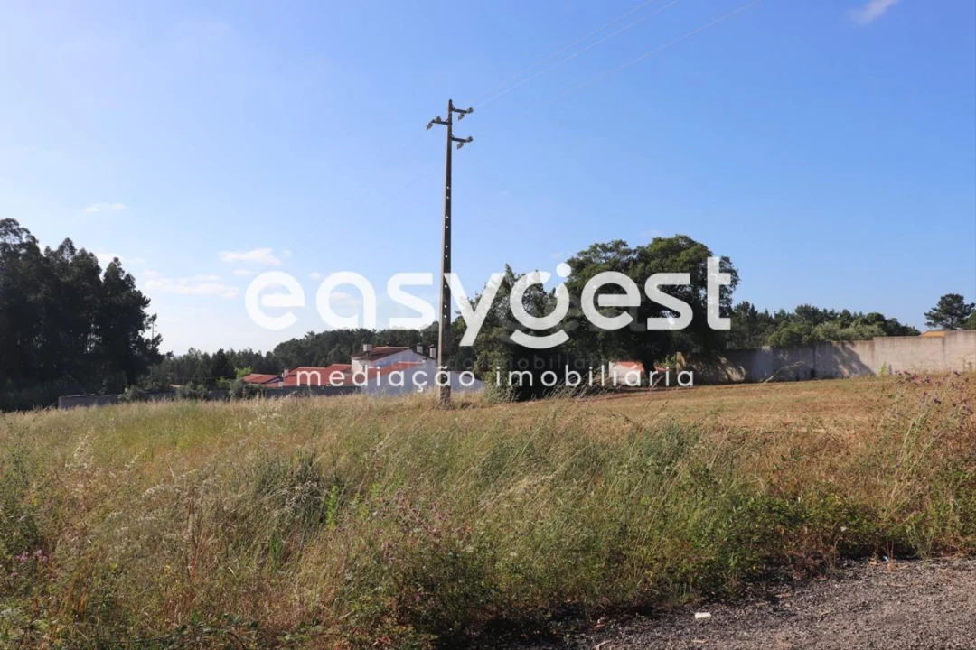Terreno para Venda em Monte Redondo e Carreira Foto 3