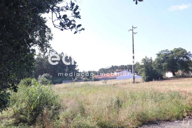Terreno para Venda em Monte Redondo e Carreira Foto 5