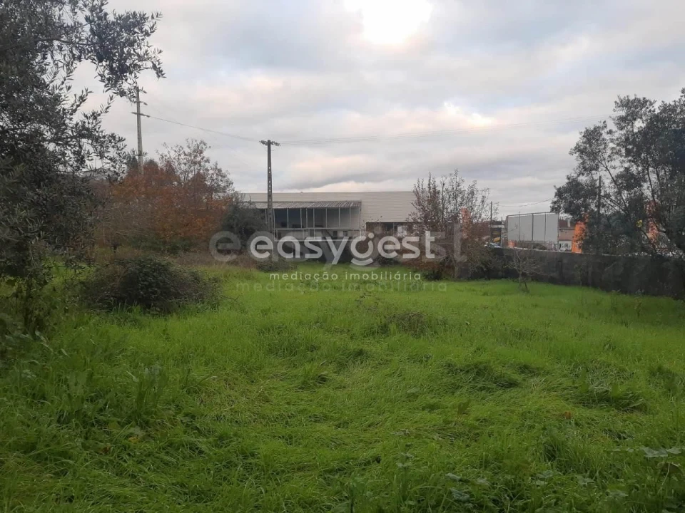 Terreno para Venda em Santiago e São Simão de Litém e Albergaria dos Doze Foto 9