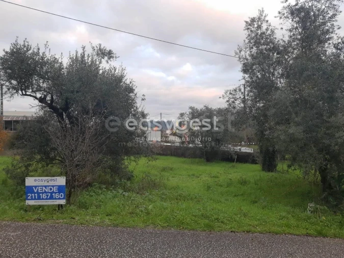 Terreno para Venda em Santiago e São Simão de Litém e Albergaria dos Doze Foto 3