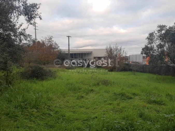 Terreno para Venda em Santiago e São Simão de Litém e Albergaria dos Doze Foto 5