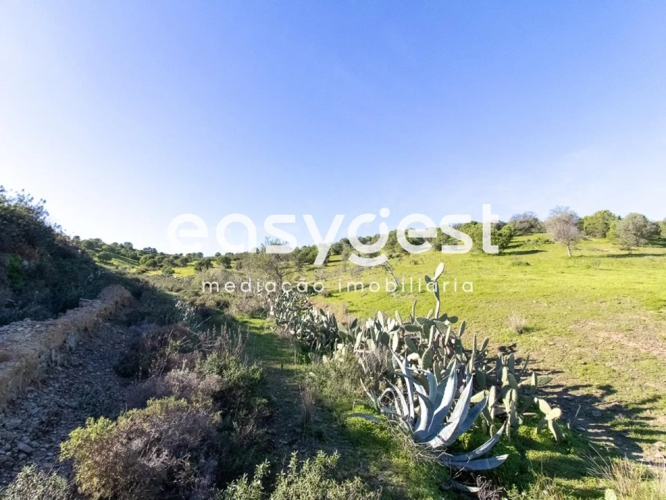 Terreno Agricola ou Rústico para Venda em Castro Marim Foto 3