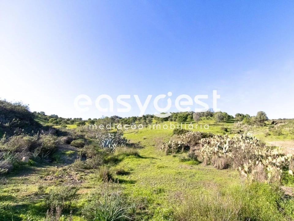 Terreno Agricola ou Rústico para Venda em Castro Marim Foto 5