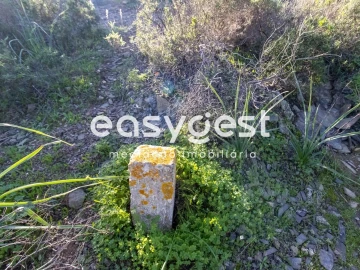 Terreno Agricola ou Rústico para Venda em Castro Marim