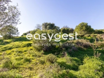 Terreno Agricola ou Rústico para Venda em Castro Marim