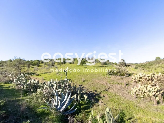 Terreno Agricola ou Rústico para Venda em Castro Marim Foto 2