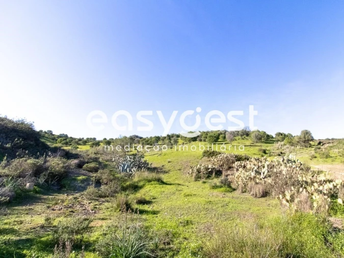 Terreno Agricola ou Rústico para Venda em Castro Marim Foto 5