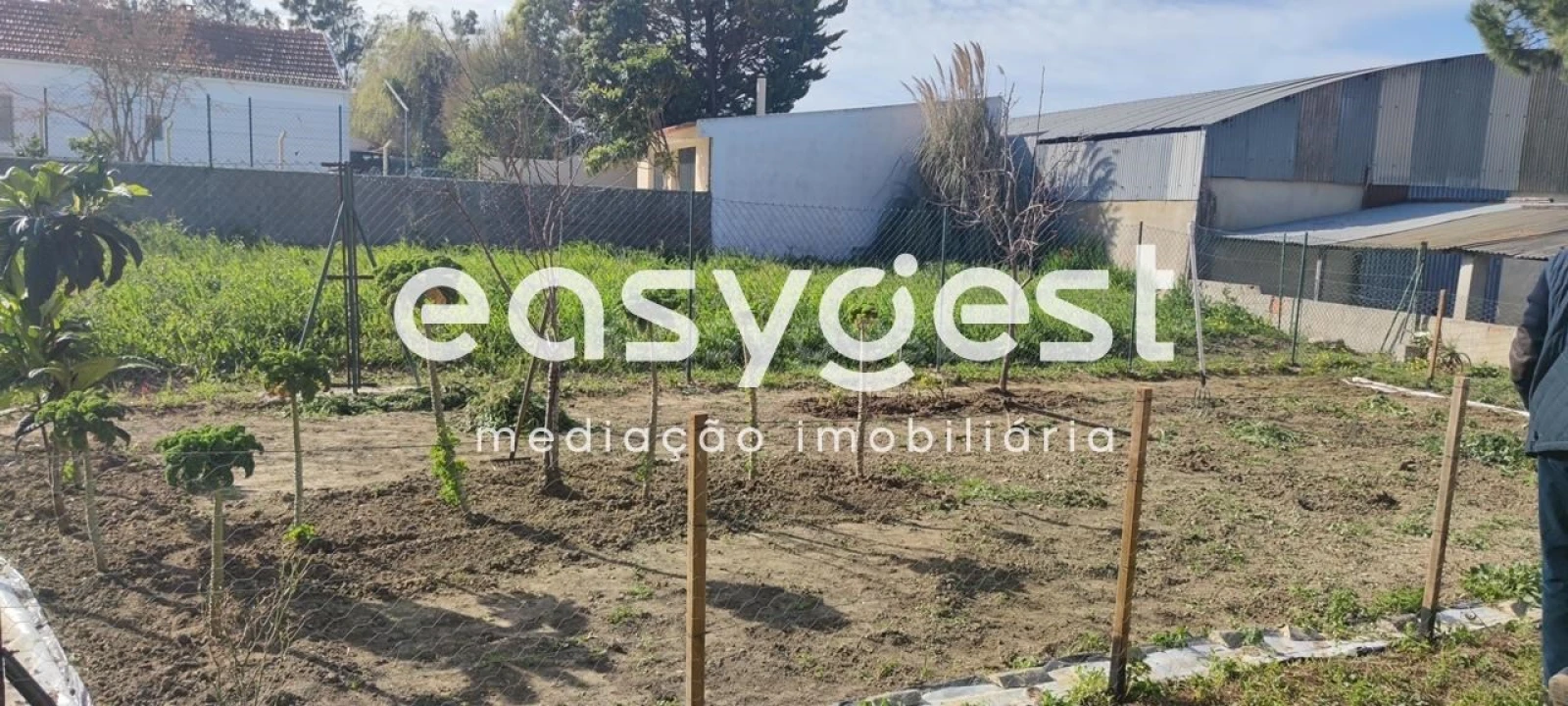 Apartamento para Venda em Sesimbra (Santiago) Foto 30