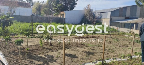 Apartamento para Venda em Sesimbra (Santiago)
