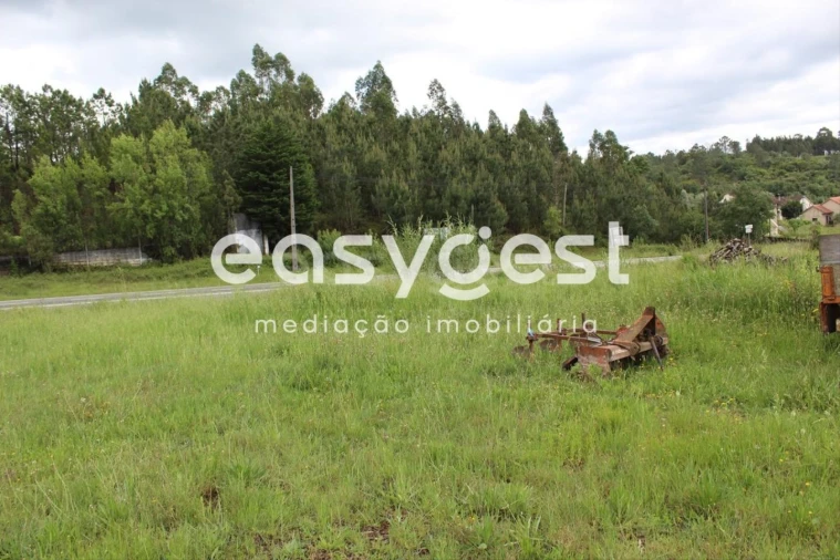 Terreno para Venda em Redinha Foto 8